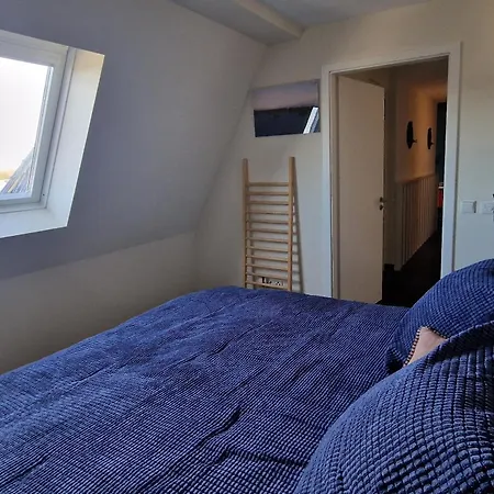 Deichgraf Deichgraf 31-18 *